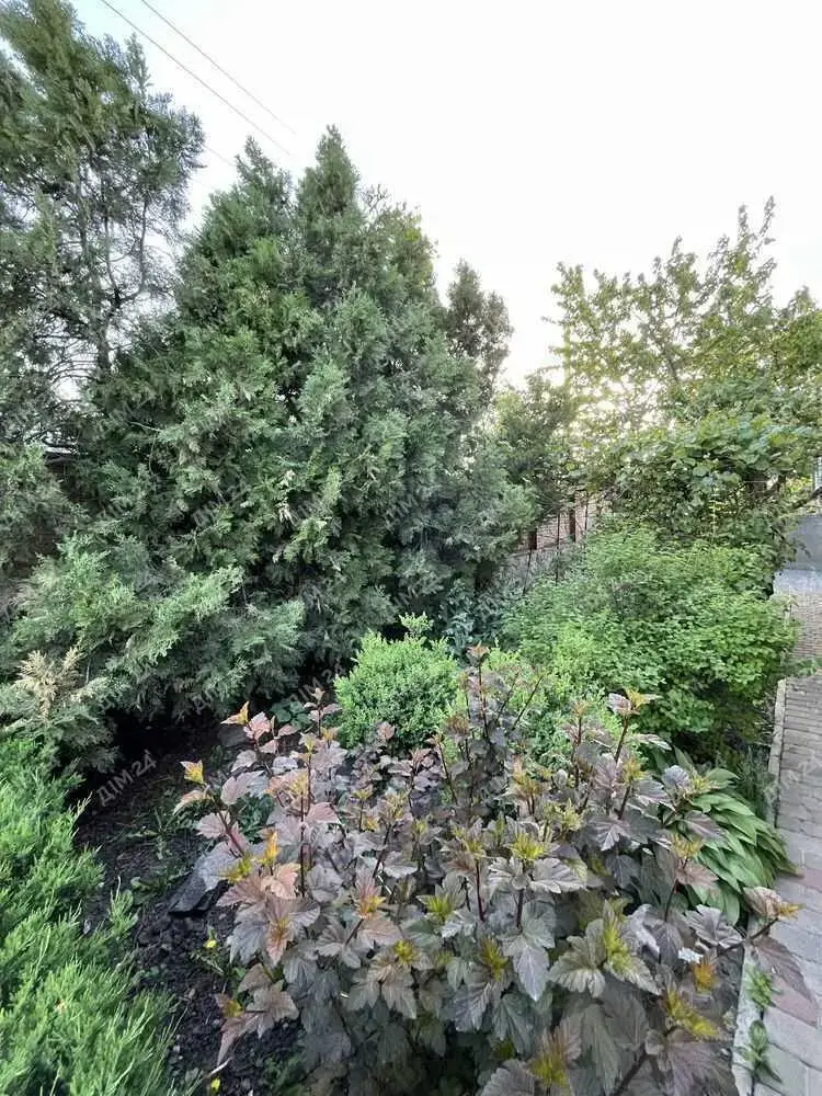 Затишний будинок із ремонтом у Нових Санжарах, Полтавська область