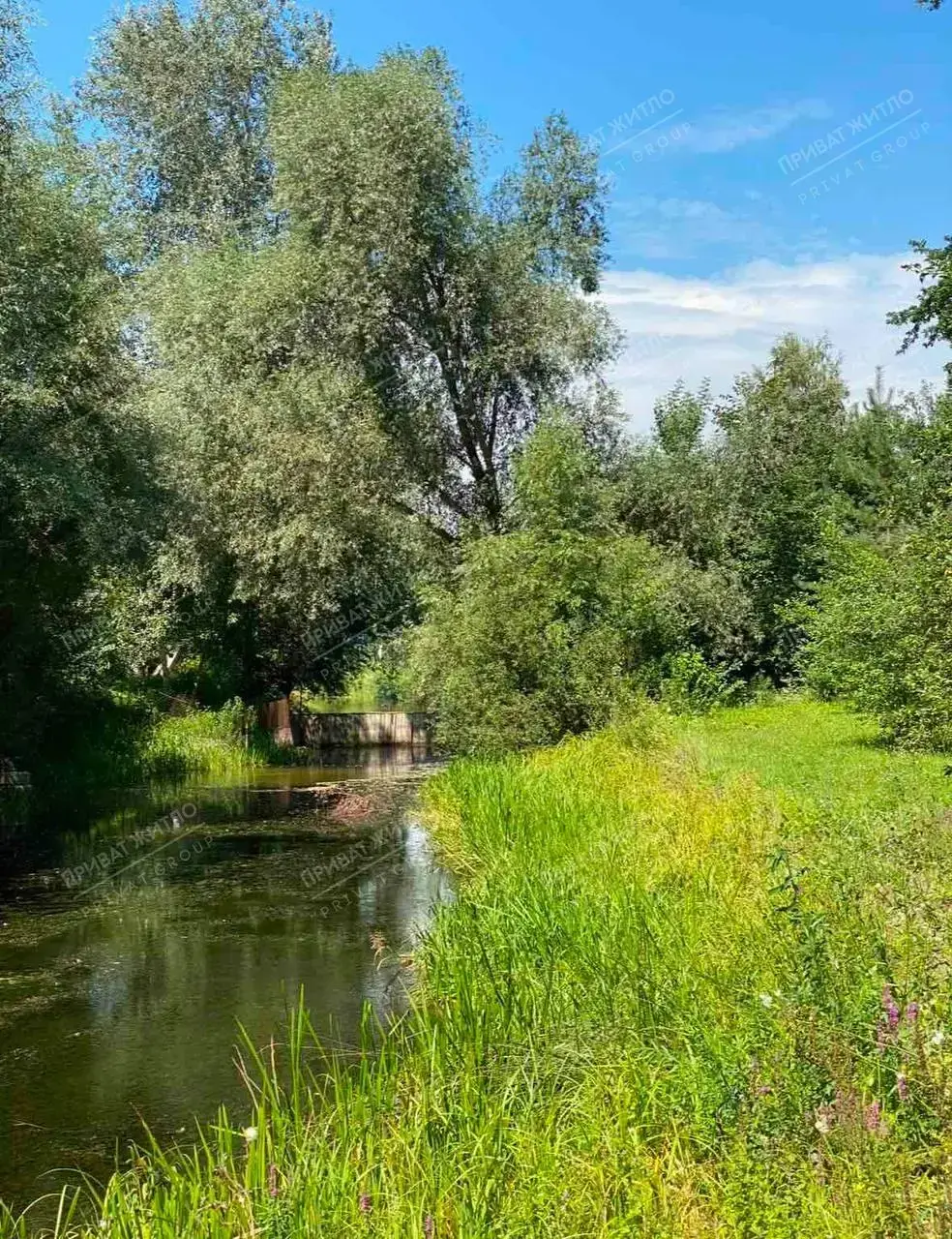 Будинок - Дача біля річки та лісу! Терешки
