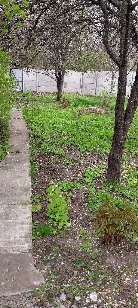 Квартира в приватному секторі