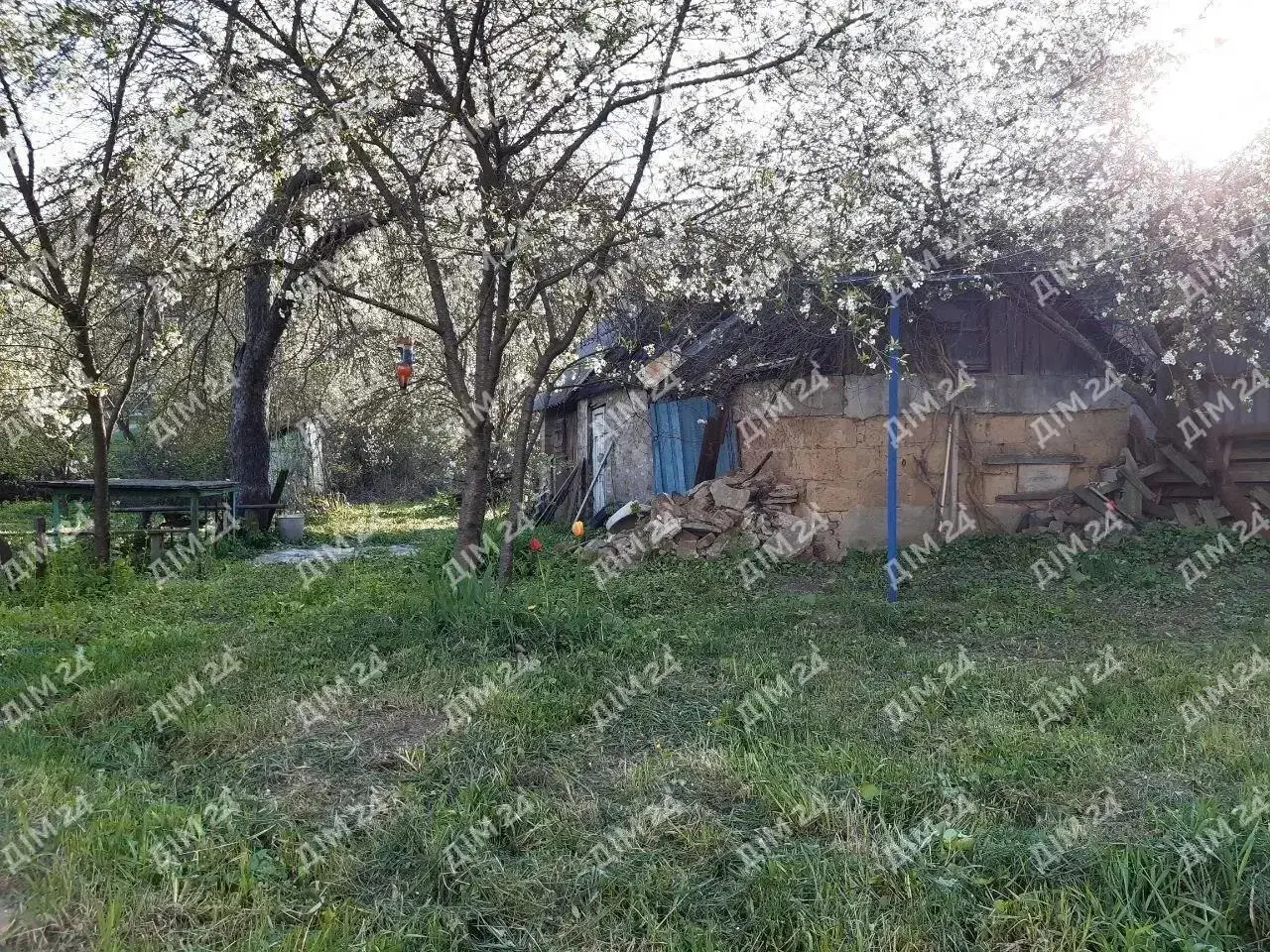 Власне подвір`я на Леваді