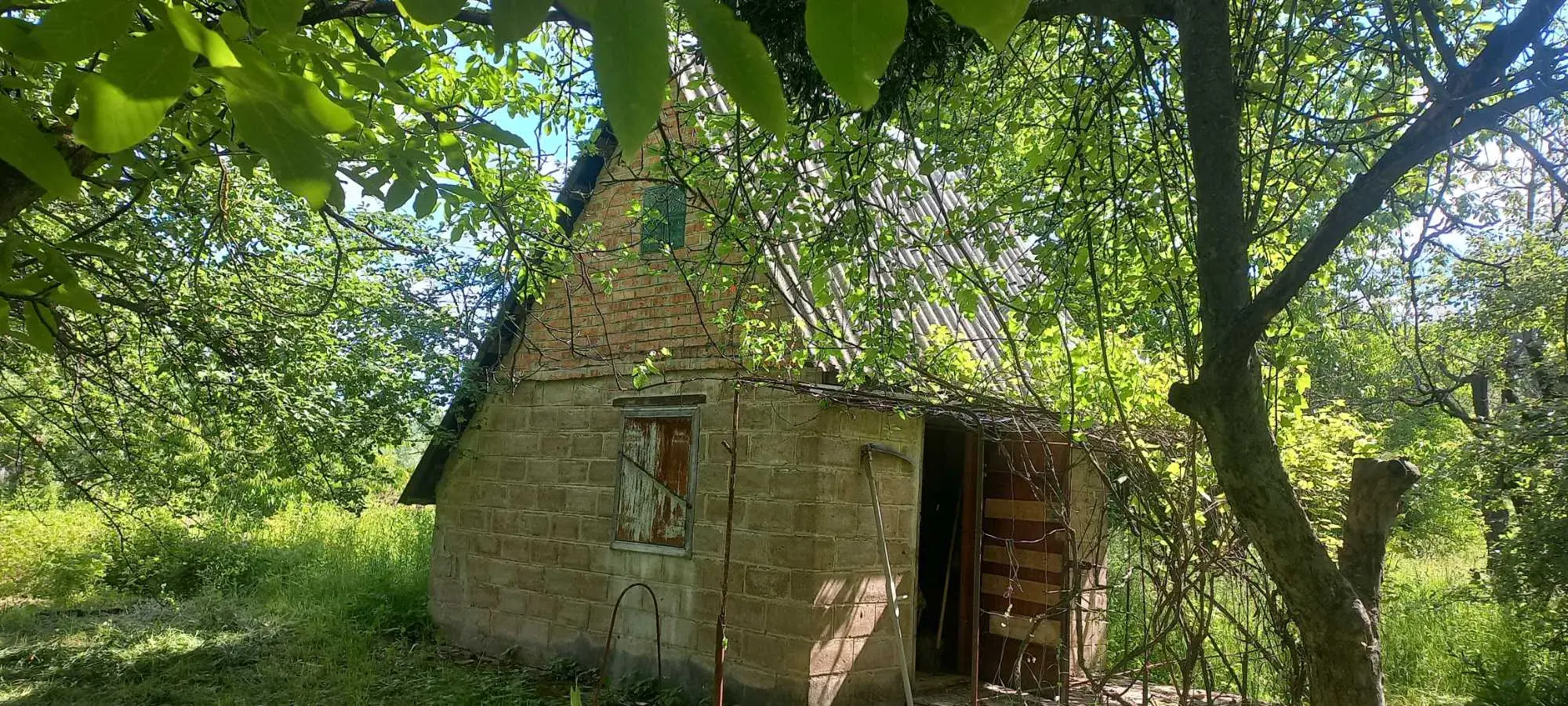 Бюджетна дачна ділянка
