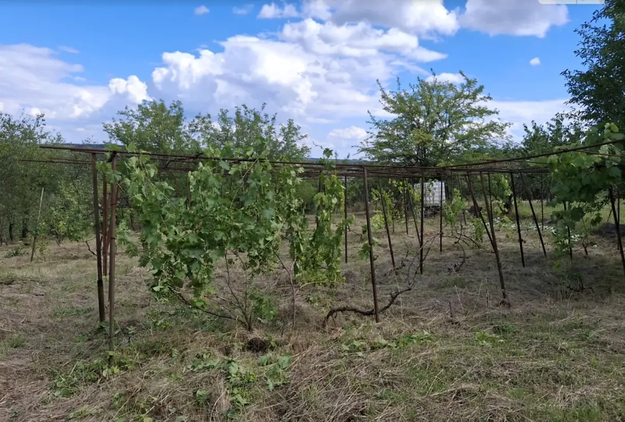 Продається ділянка у мальовничому місці під садівництво