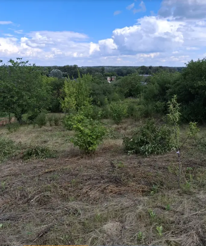 Продається ділянка у мальовничому місці під садівництво