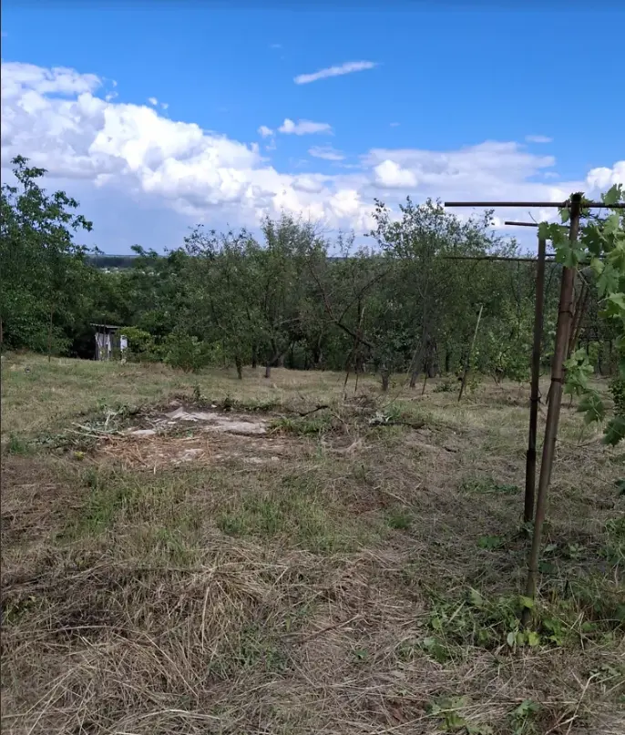 Продається ділянка у мальовничому місці під садівництво
