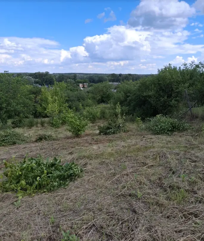 Продається ділянка у мальовничому місці під садівництво