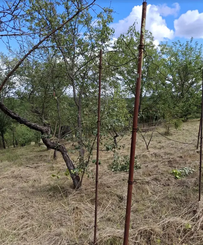 Продається ділянка у мальовничому місці під садівництво