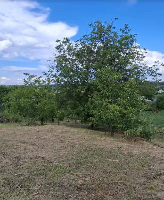 Продається ділянка у мальовничому місці під садівництво