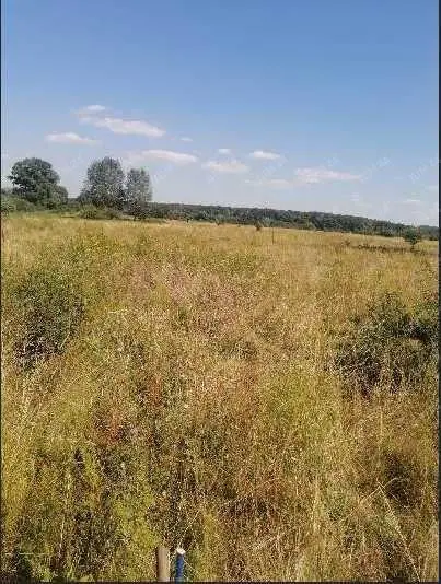 Ділянка в с.Зінці