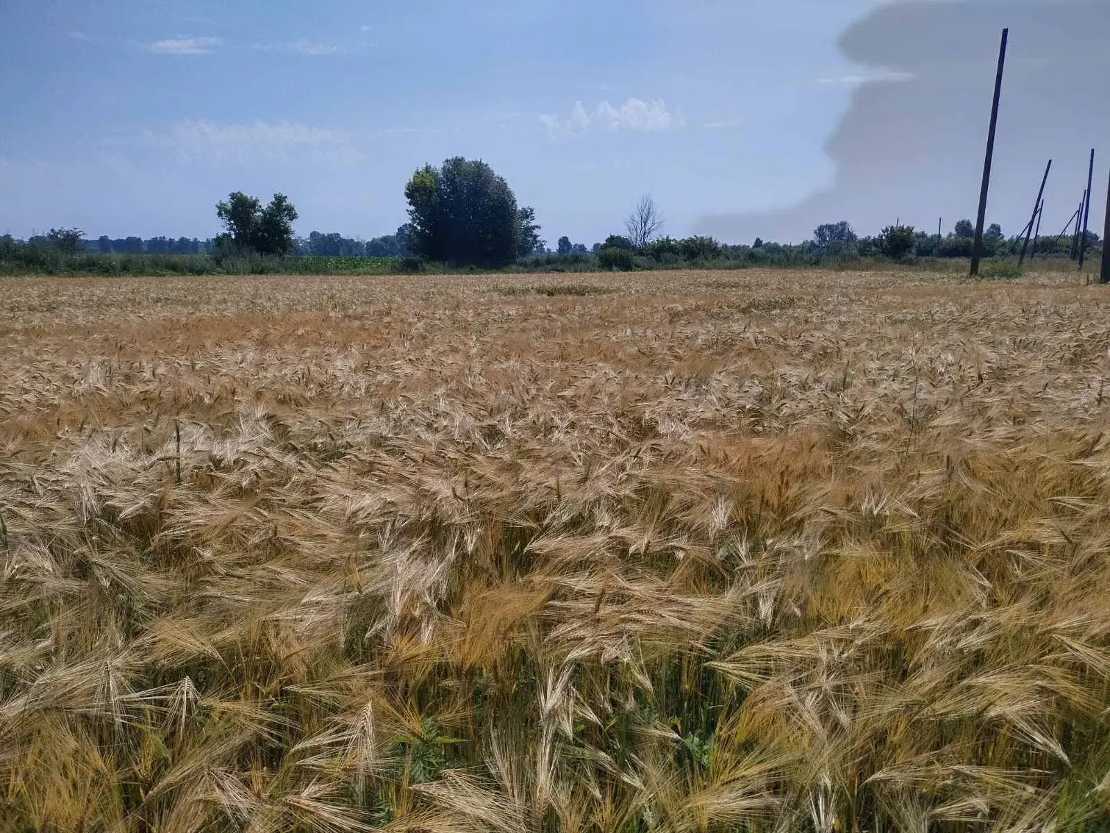 Ділянка під забудову 7км від Полтави