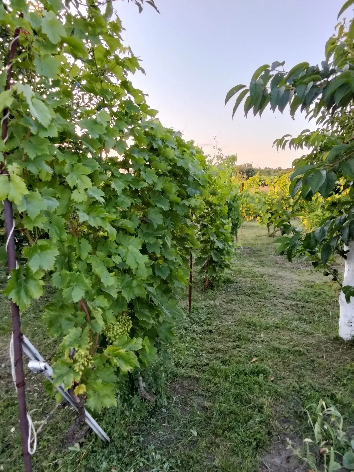 Продаж будинку в Стасях