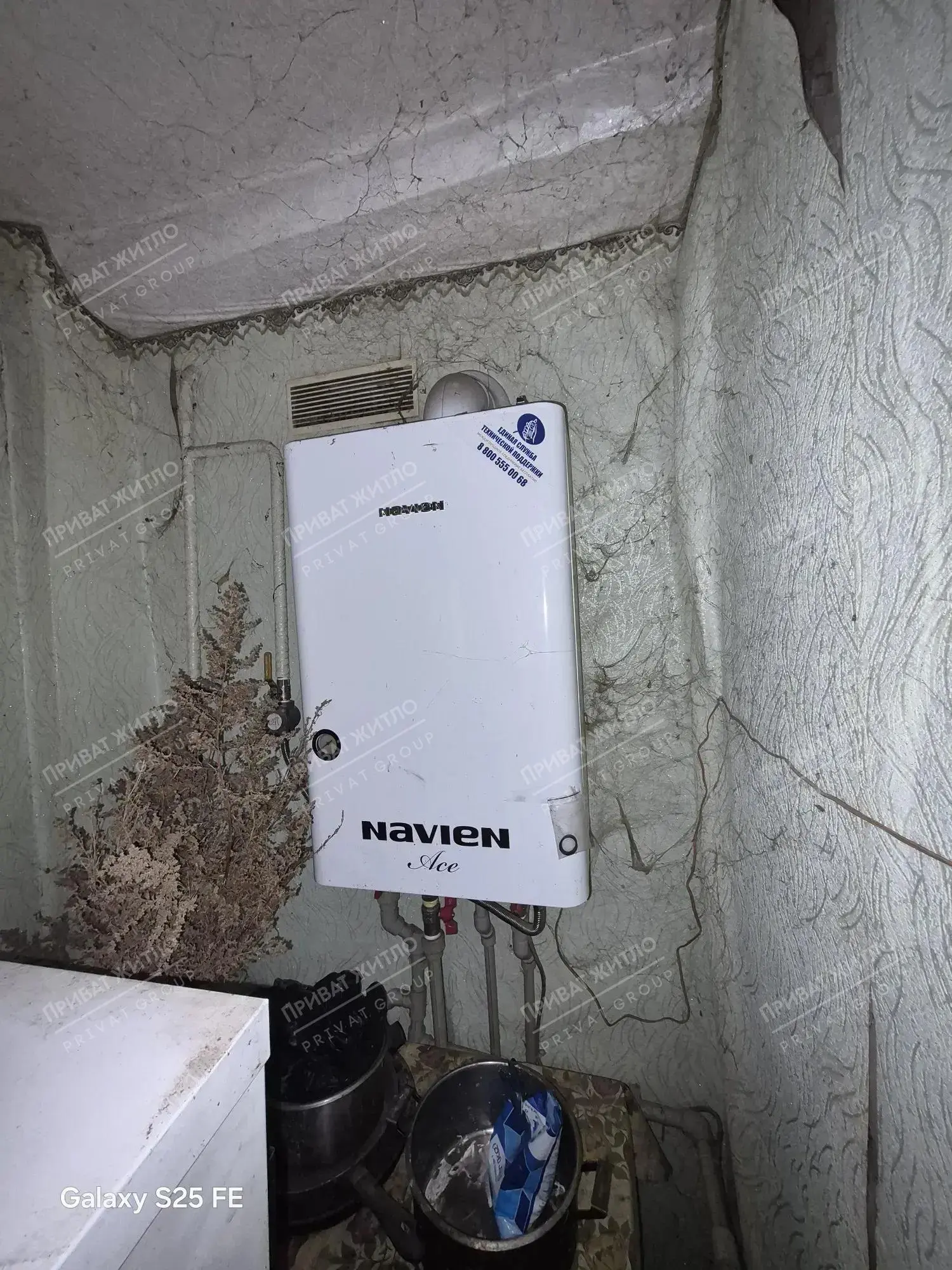 Будинок із зручностями та господарськими спорудами в Малому Тростянці
