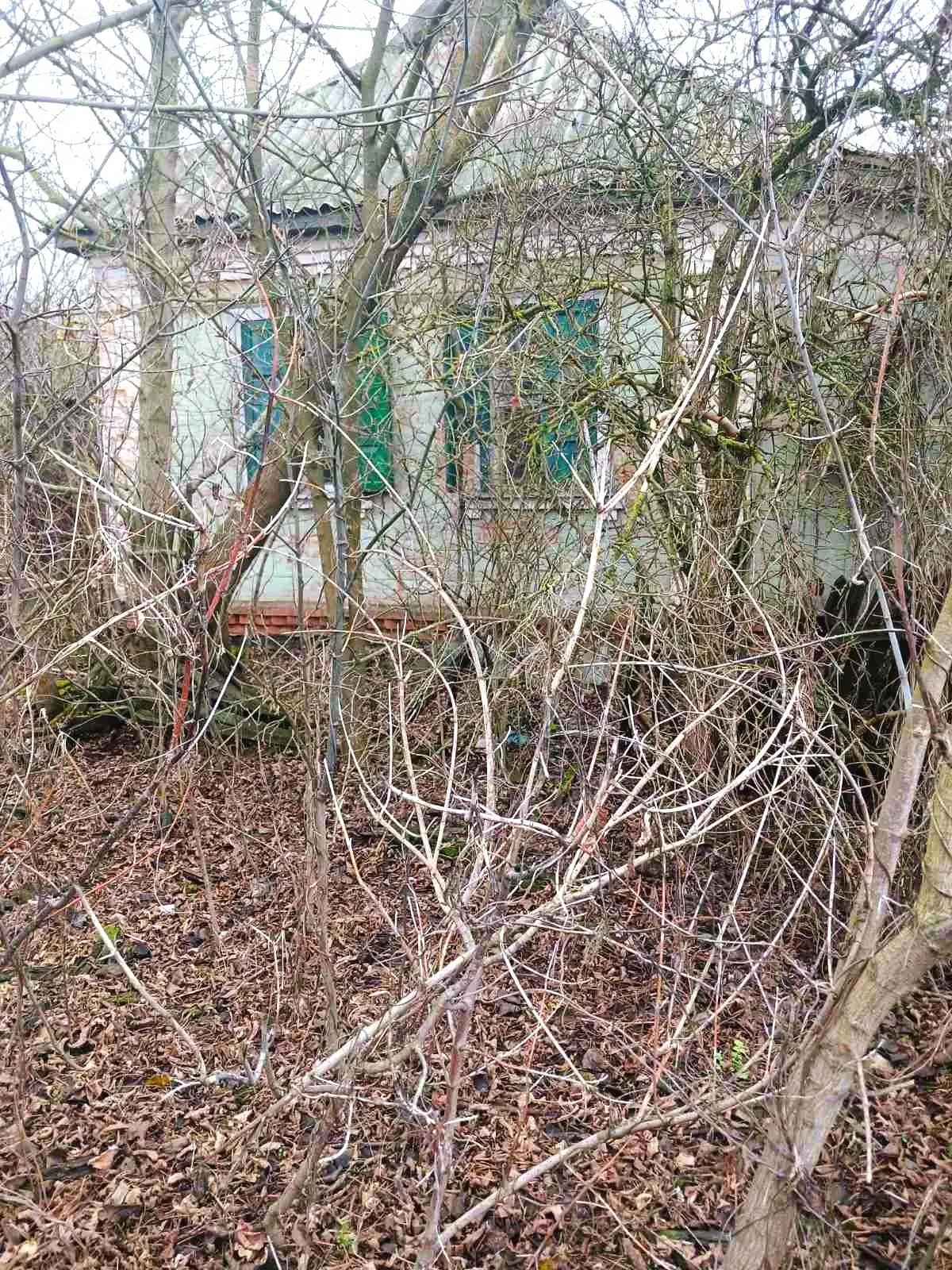 Вільховий Ріг. Чотири ділянки з будинком. 