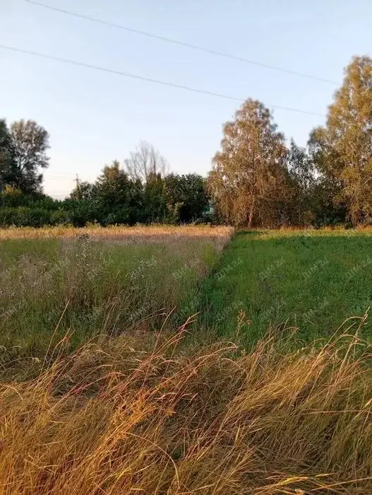 Дві ділянки в Терновщині