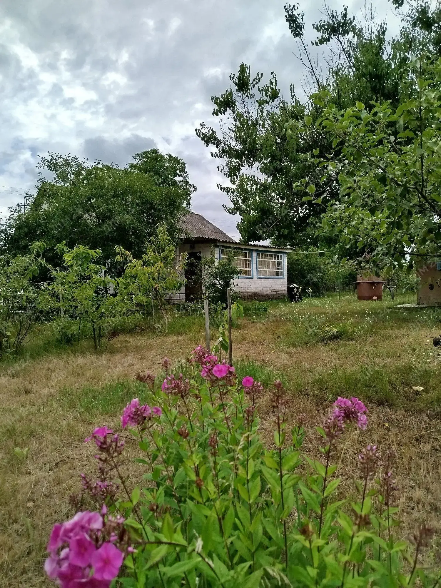 Будинок в селі Клюсівка