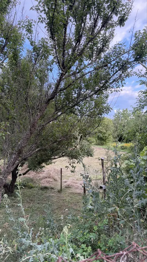 Продаж будинку у Вакуленцях