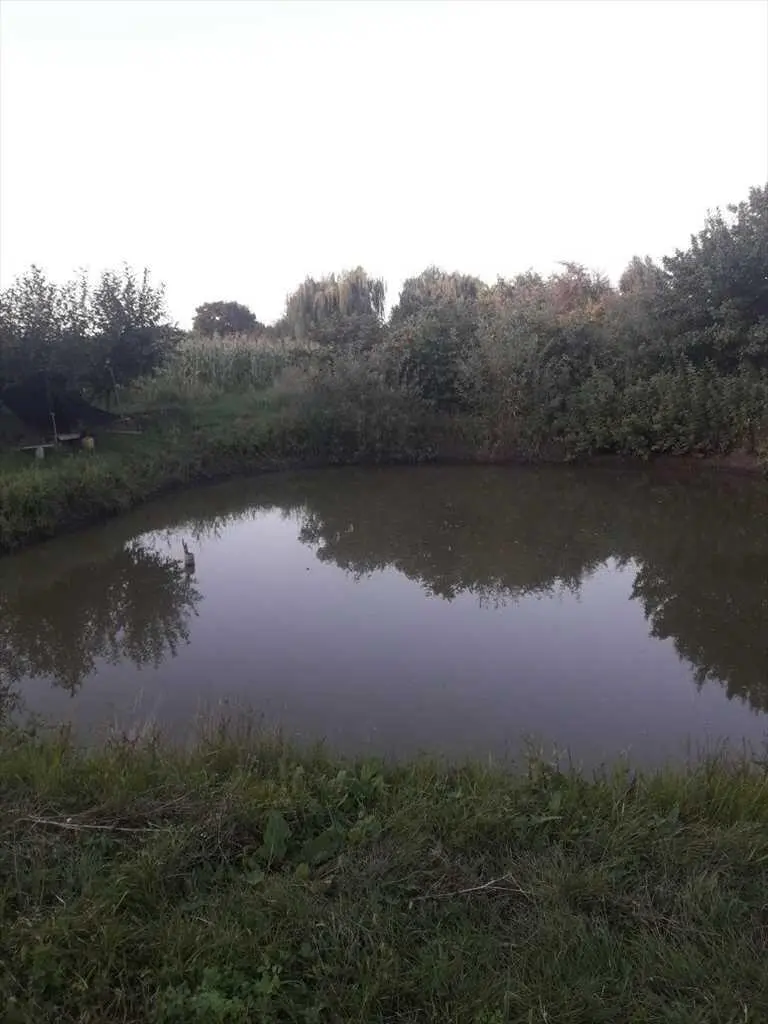 Будинок зі своїм озером в 10 км від Полтави!