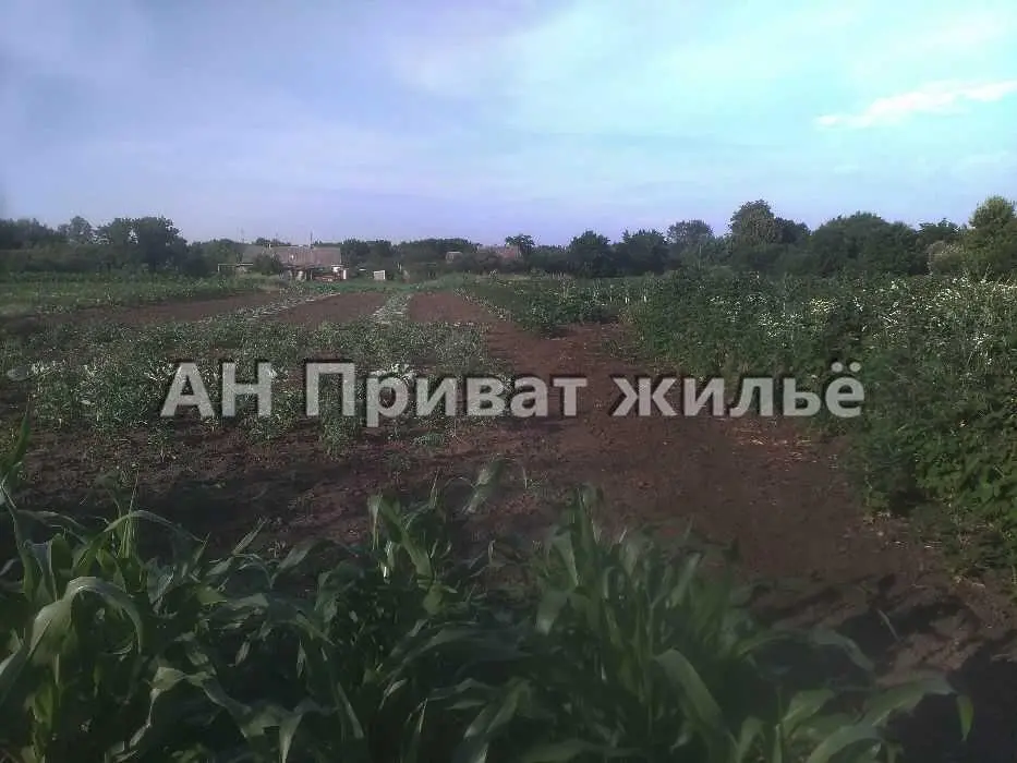 Бюджетні дві земельні ділянки  в с.Андріївка. 