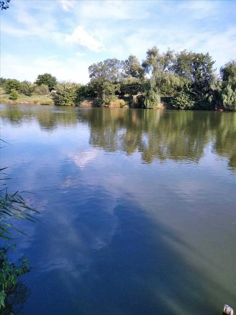 Земельна ділянка під забудову в Рибцях
