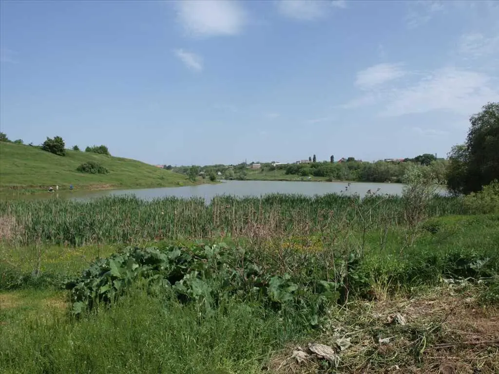 Отличный участок в с.Щербани.