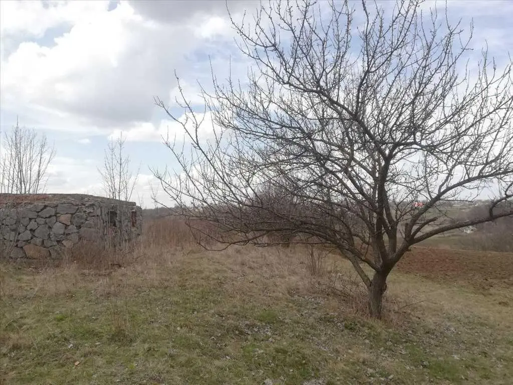 Продам ділянку в с.Гожули. Площа 15 соток. 