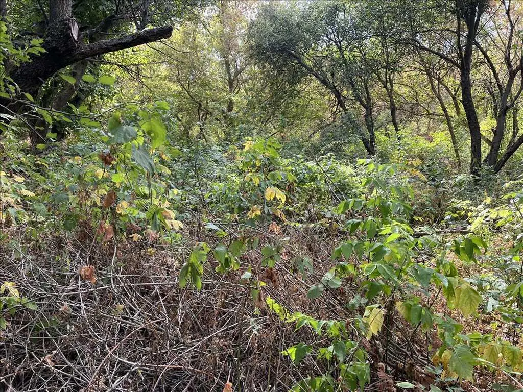 Дача без внутрішніх робіт в Жуках.