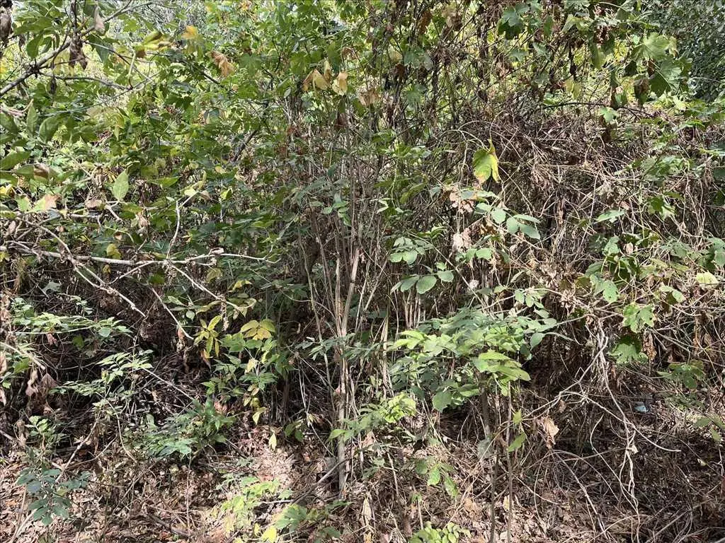 Дача без внутрішніх робіт в Жуках.