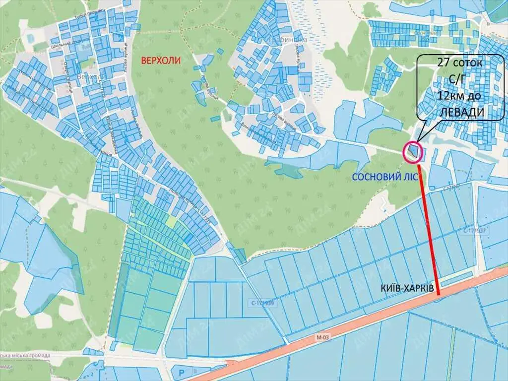 Сосновий ліс на ділянці. 