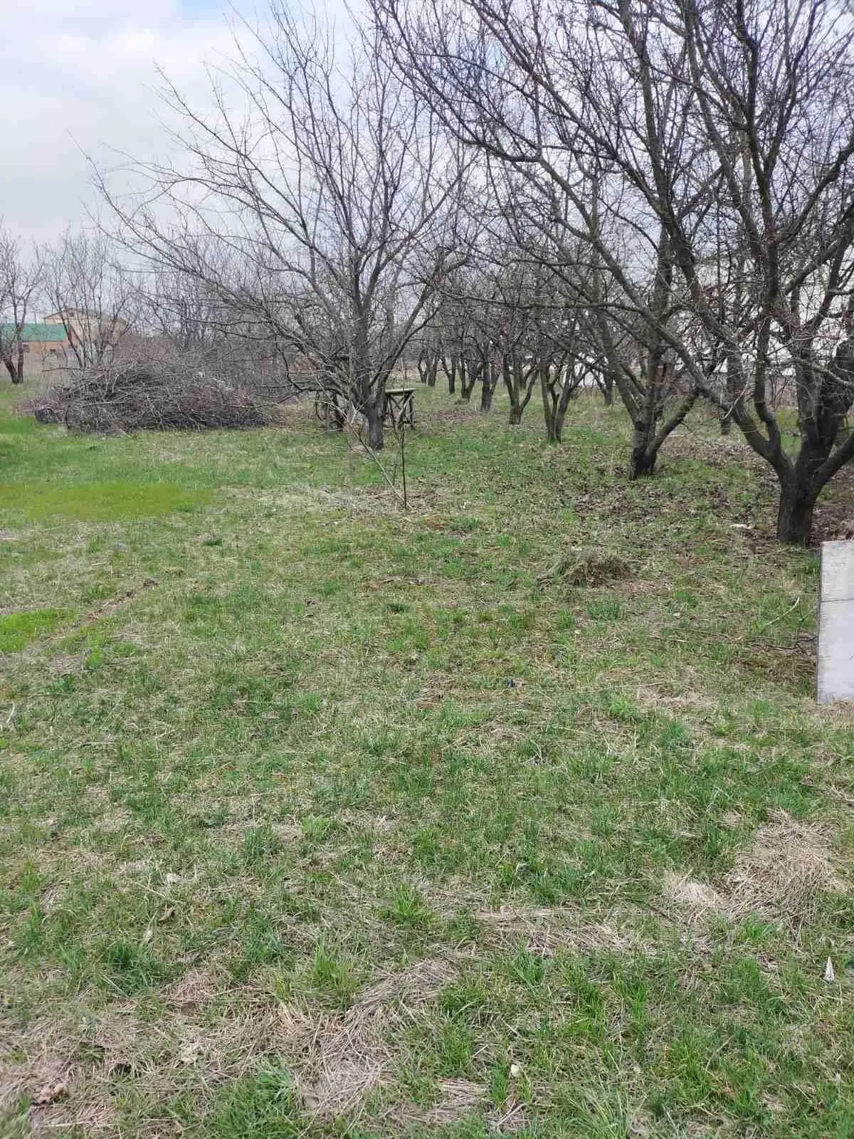 Земельна ділянка в Мачухах