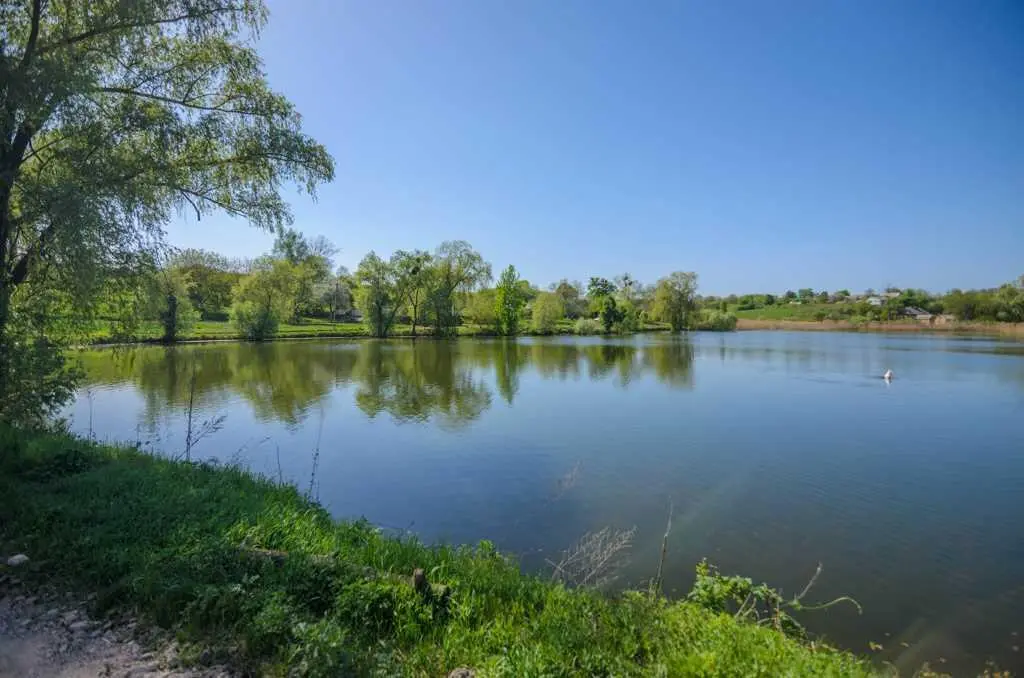 Велика ділянка в с.Мильці