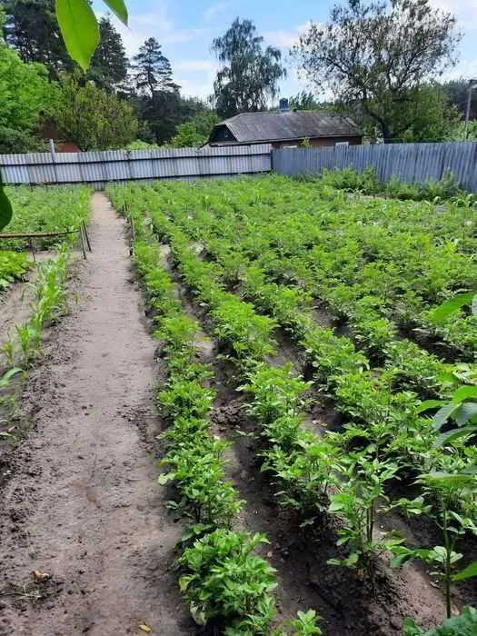 Доглянута земельна ділянка під забудову ! 