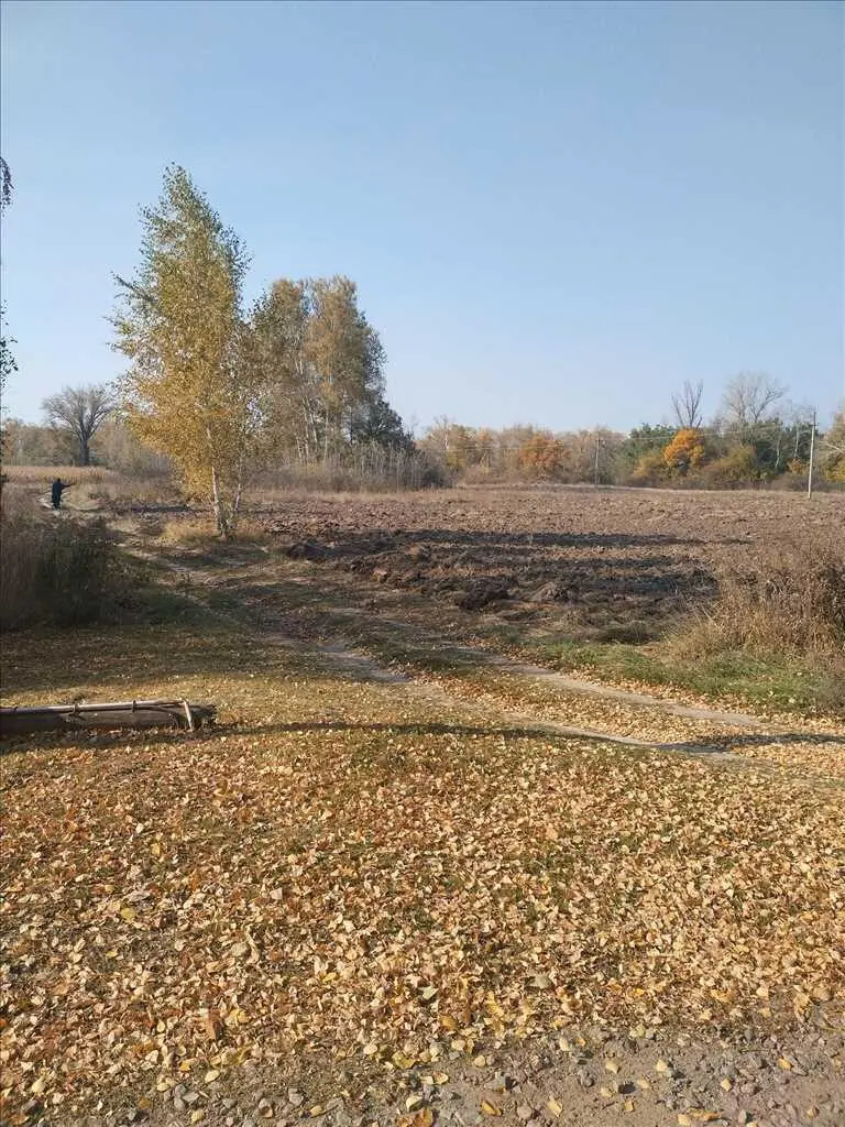 Продається земельна ділянка між Гавронцями та Тернівщиною.