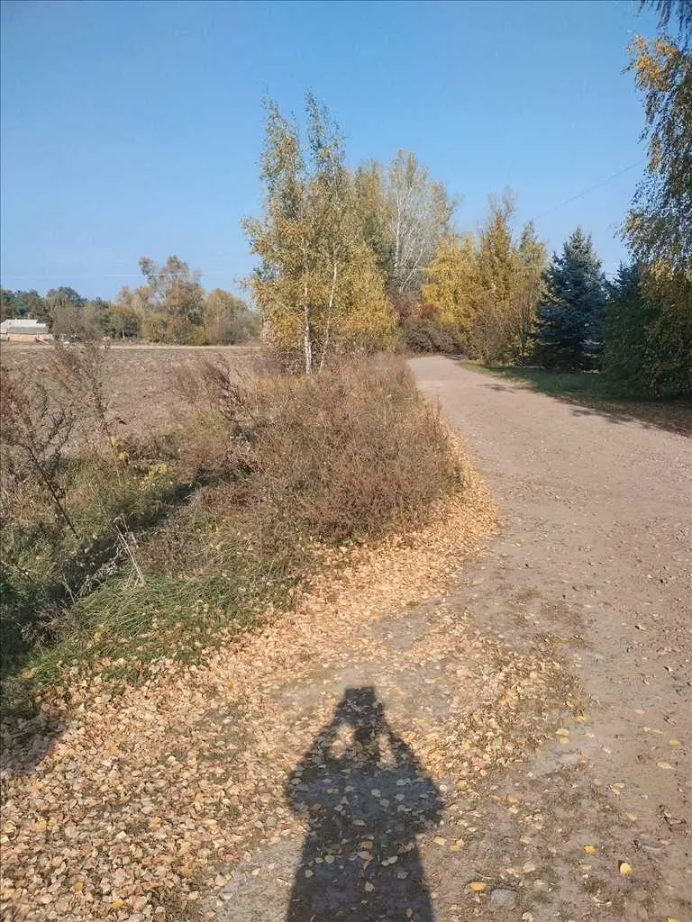 Продається земельна ділянка між Гавронцями та Тернівщиною.