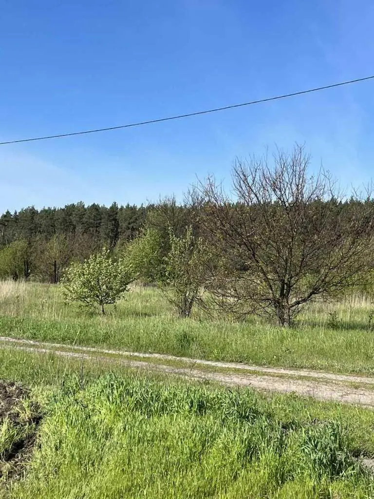  Продається земельна ділянка 25 соток, с. Ваці