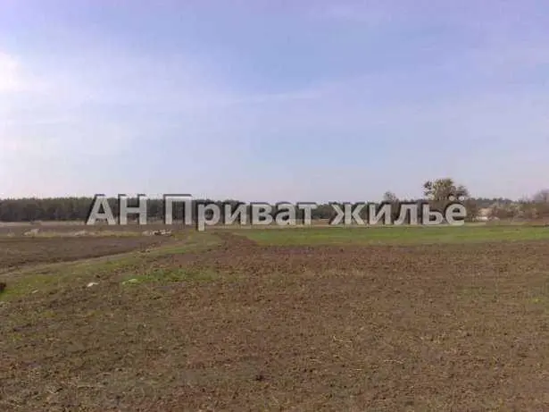 Брунівка. Приватизована земельна ділянка