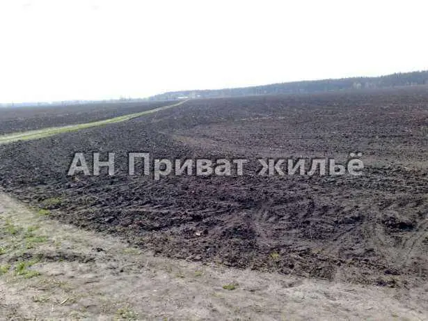 Брунівка. Приватизована земельна ділянка